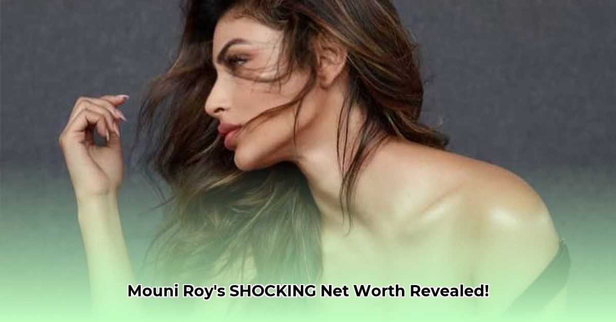 mouni-roy-net-worth